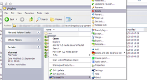 Delete the plug-in you wish to update