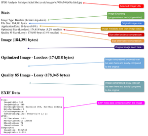 The jpeginfo page contains a lot of information about a specific JPEG image. This includes any metadata and also optimised image versions.