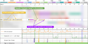 Initial JavaScript file downloads, the browser then no longer receives data on it, until around 300 ms later when the browser receives another JavaScript file.