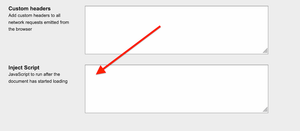 Inject script allows you to modify the font loading properties on a given page.