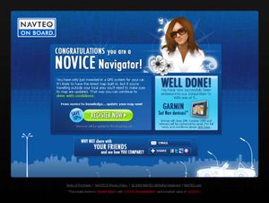 NAVTEQ customer profiling finished page.